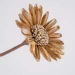 Sanoe Sunflower - Image 2