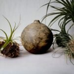 Mocha Swirl II Paper Mache Vase - Image 2