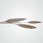 3 Prong Leaves Branch