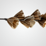 Brown Giant Gypso - Image 2