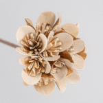 Compound Daries - Image 2