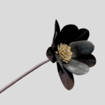 Double Banksia Blossom (Black) - Image 2