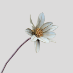 Double Banksia Blossom (White) - Image 2