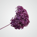 Dried Bloom Accent (Purple)