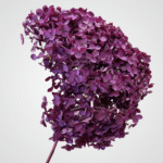 Dried Bloom Accent (Purple) - Image 2