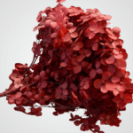 Dried Bloom Accent (Rust Red) - Image 2