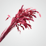 Dried Feather Plumes (Pink)