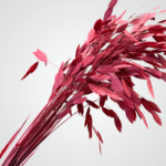 Dried Feather Plumes (Pink) - Image 2