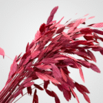Dried Feather Plumes (Pink) - Image 3