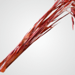 Dried Feather Plumes (Red) - Image 3