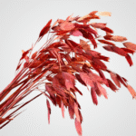 Dried Feather Plumes (Red) - Image 2