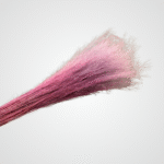 Dried Fiber Accent Bundle