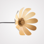 Daisy Palmeri - Image 2