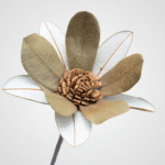Double Banksia Blossom (Natural) - Image 2