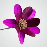 Double Banksia Blossom (Pink)