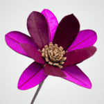 Double Banksia Blossom (Pink) - Image 2