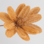 Giant Alufa Blossom - Image 2