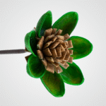 Nut Shell (Green) - Image 2