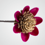 Nut Shell (Pink) - Image 2