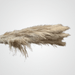 Pampas Plume (Brown)