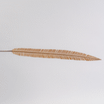 Prong Leaf Wide - Image 2