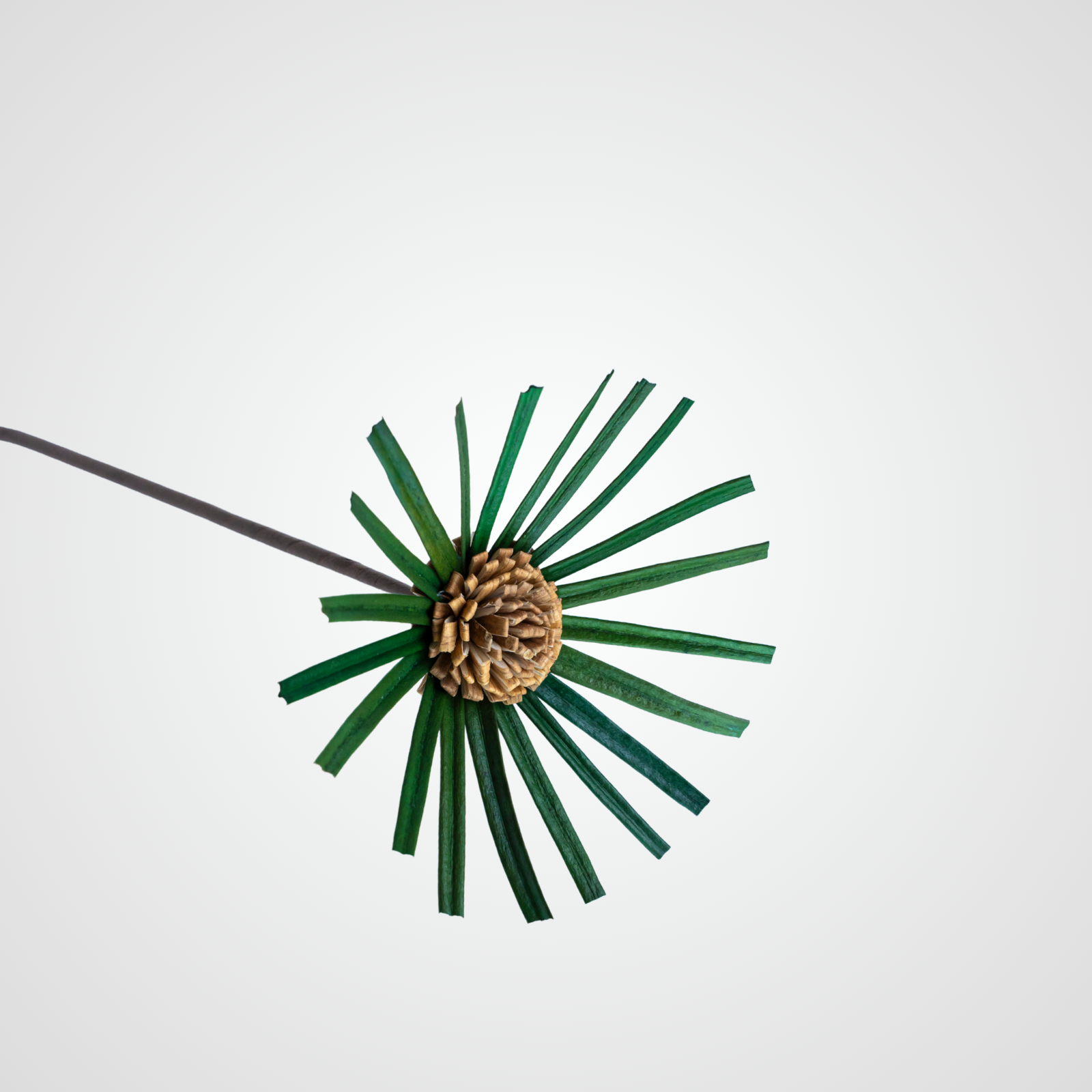 Prong Star(Green) Prong Star (Green) - Image 1