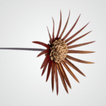 Prong Blossom (Orange) - Image 2