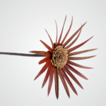 Prong Blossom (Red) - Image 2