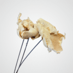 Ruffle Bloom - Image 3