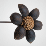 Starflower - Image 2