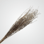 Twig Willow Spray - Image 2