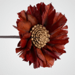 Terracotta Bloom - Image 2