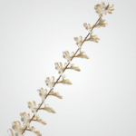 White Celeste Flower - Image 2