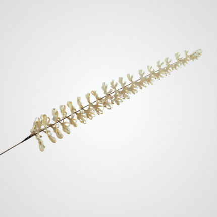 White Celeste Flower