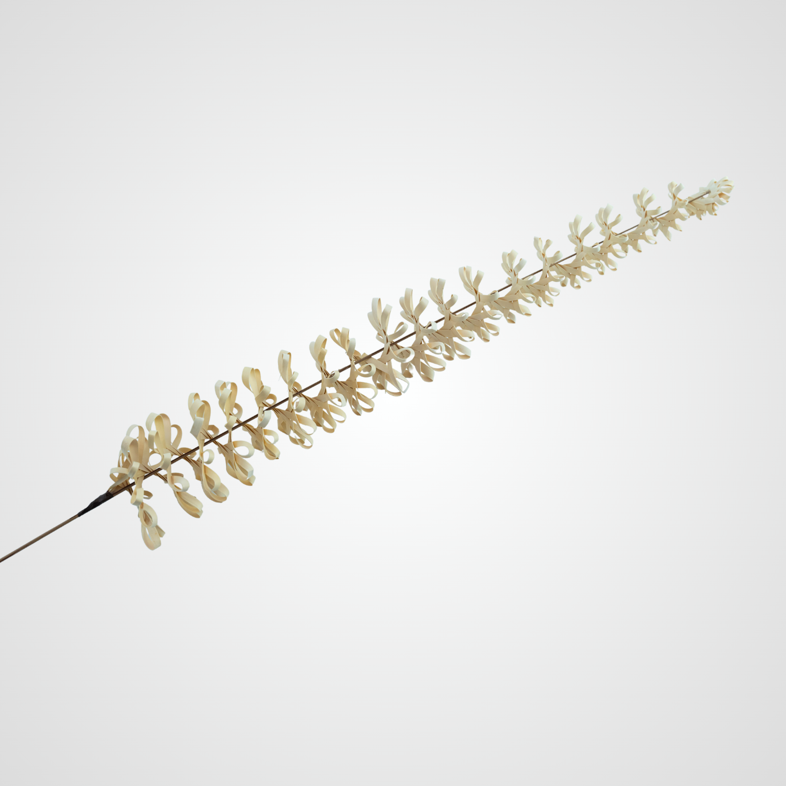 WHITE CELESTE FLOWER White Celeste Flower - Image 1