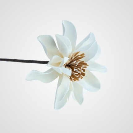 White Magnolia