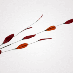 Willow Spray (Orange) - Image 2